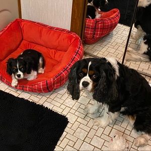 Meet your Posher, Erin